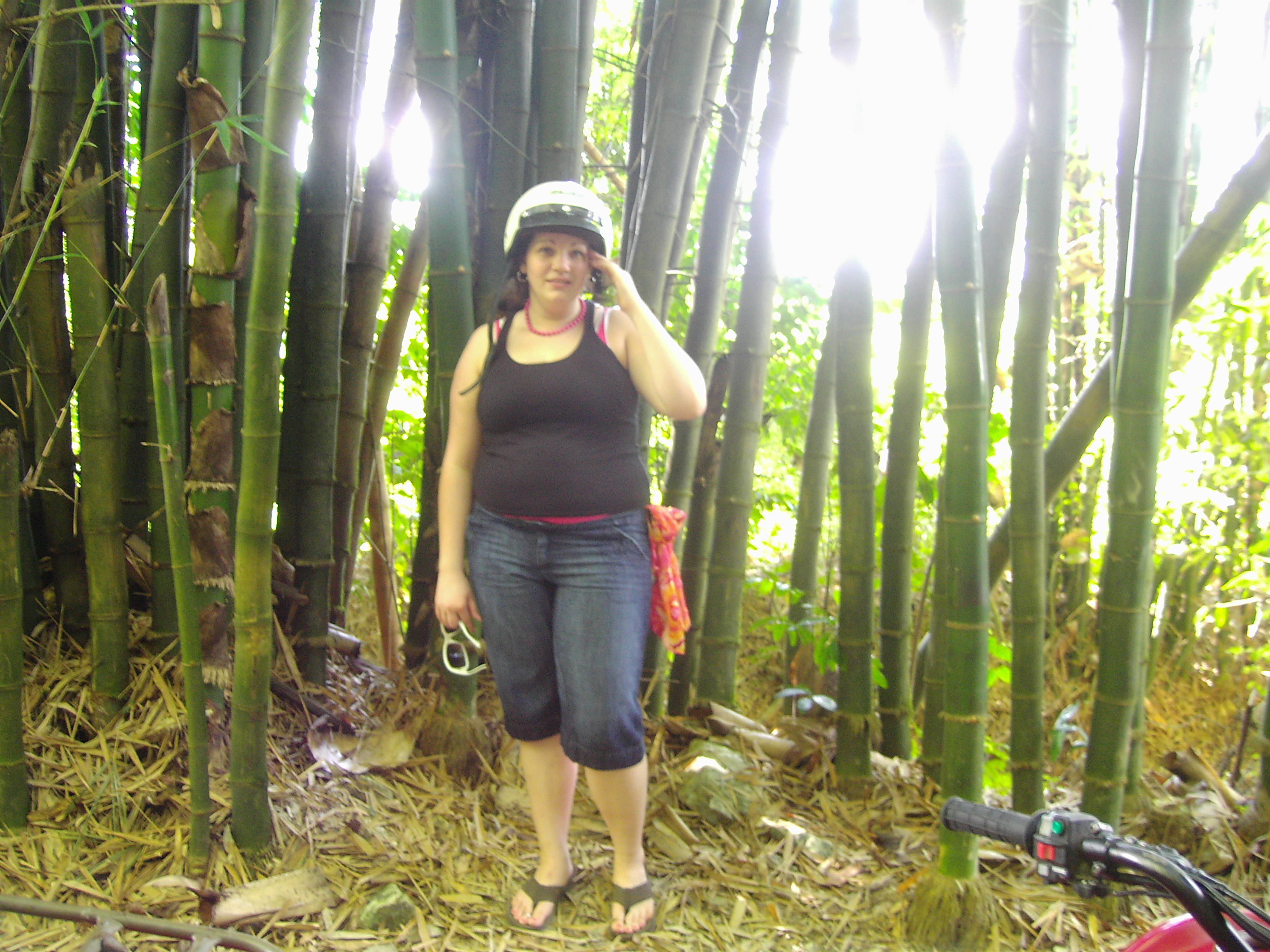 bamboo in jungle of jamaica on atv tour with chukka adventures