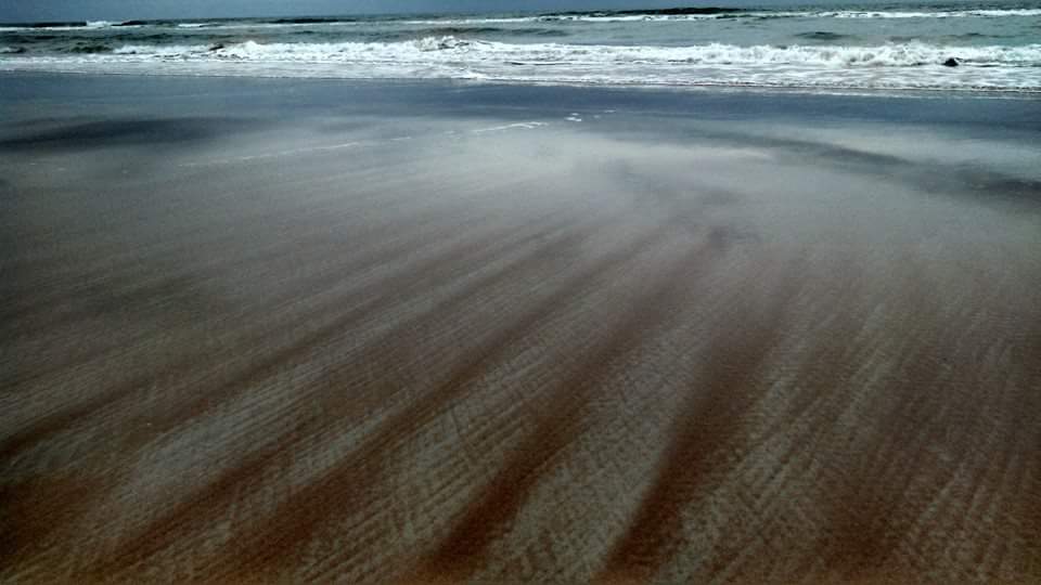 beach with red sand in daytona florida