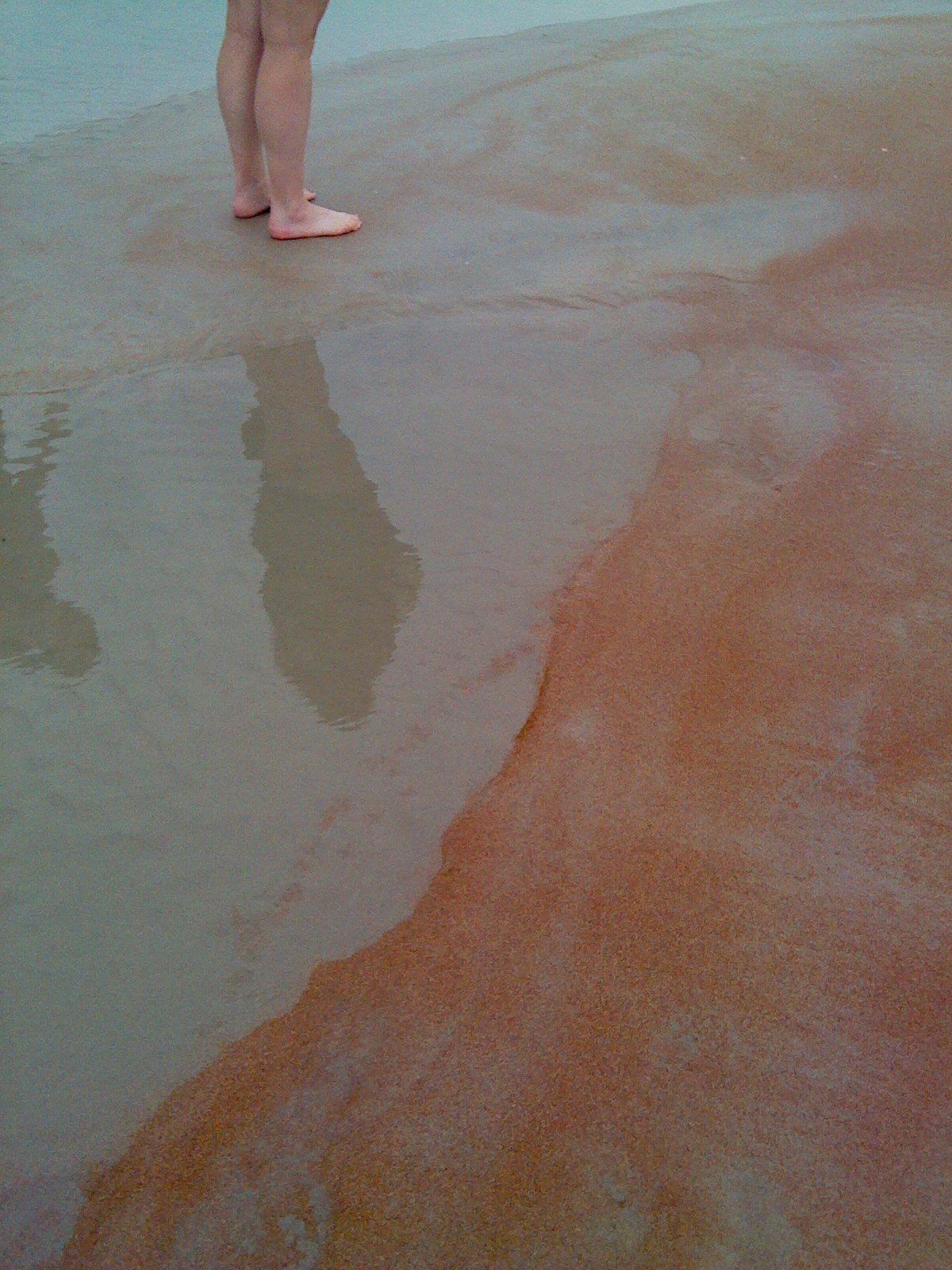 red sand beach at daytona