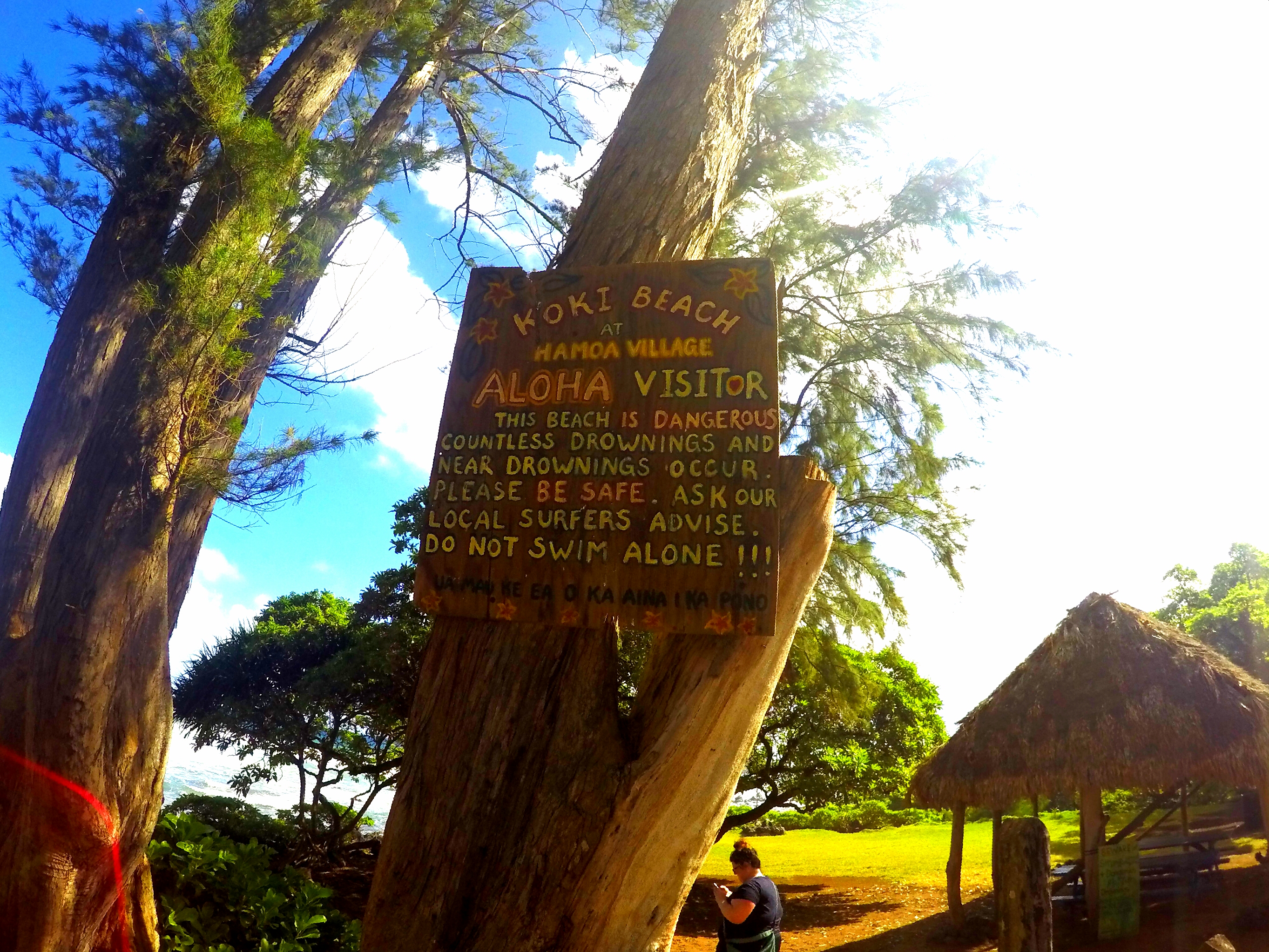 koki beach at hamoa village hana maui hawaii
