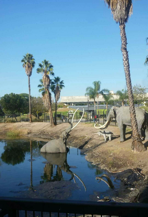 la brea tar pits in los angeles california