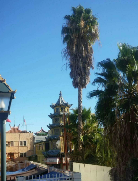 china town los angeles hop on hop off tour california