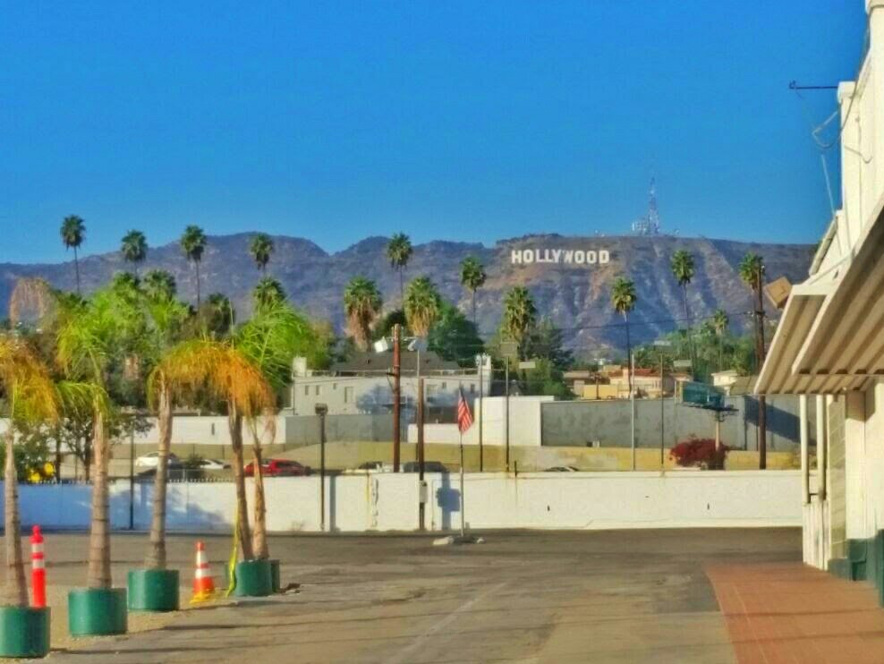 Hollywood Sign across the street from Banana Bungalow, california
