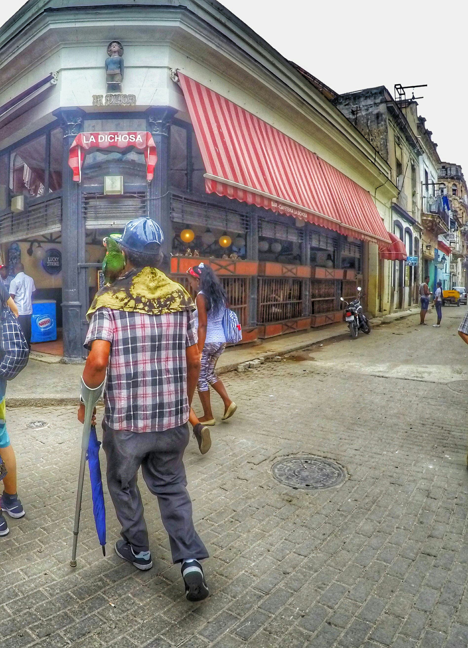 Man walking with parrot - Havana, Cuba 