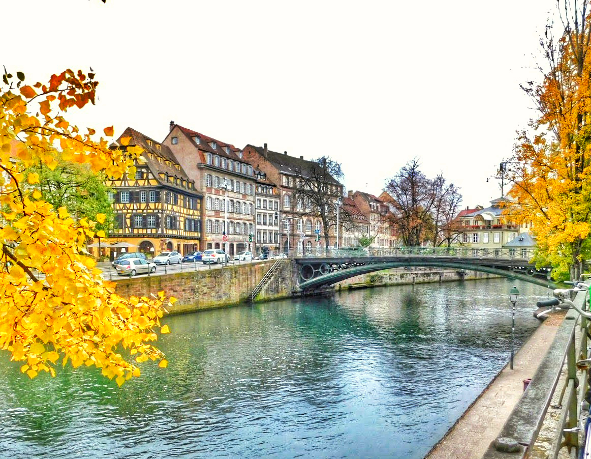 fall folliage at Pont St. Thomas - Strasbourg, France