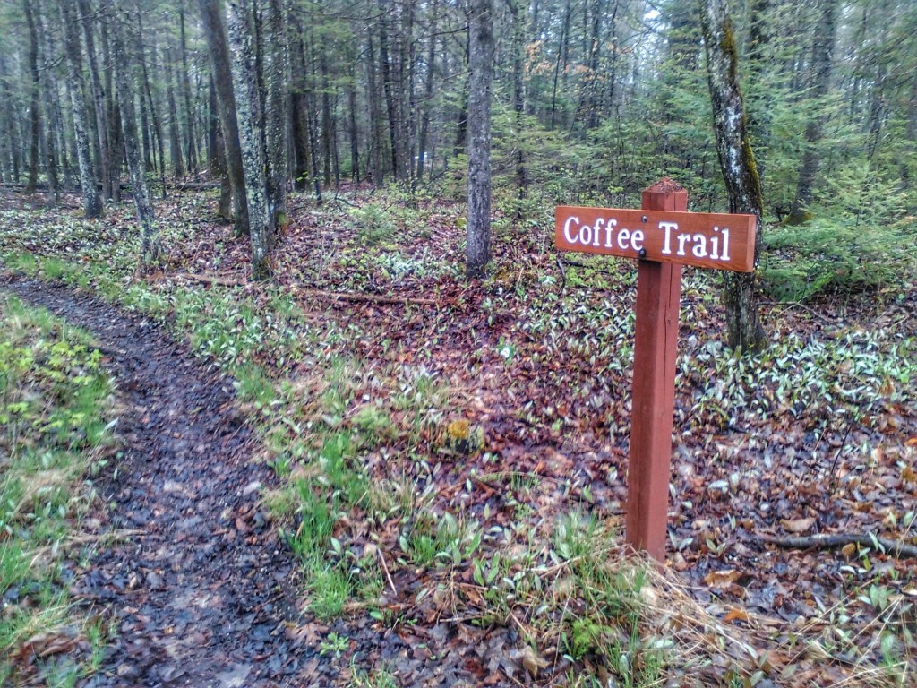 Coffee Trail Mackinac Island Michigan horseback riding