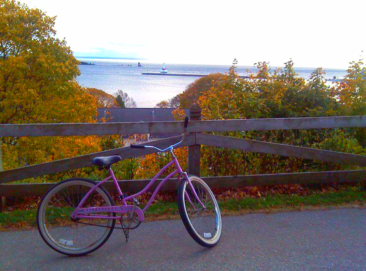 View from the East Bluff