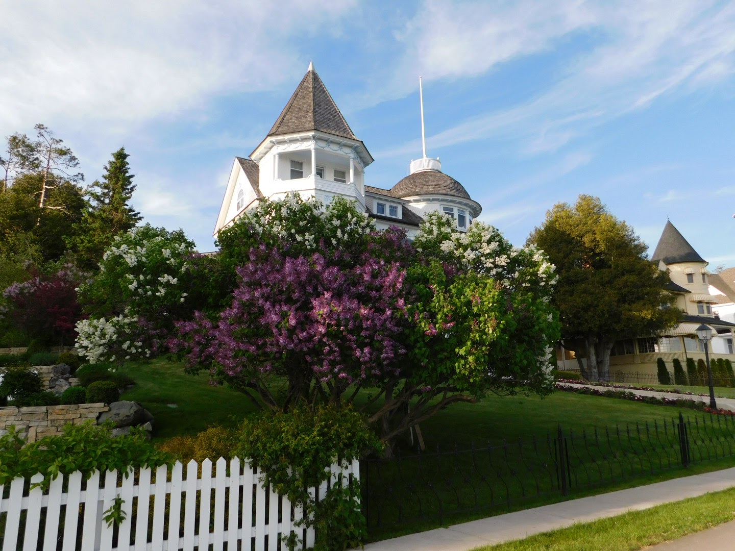 Lilacs on the West Bluff MAckinac ISland