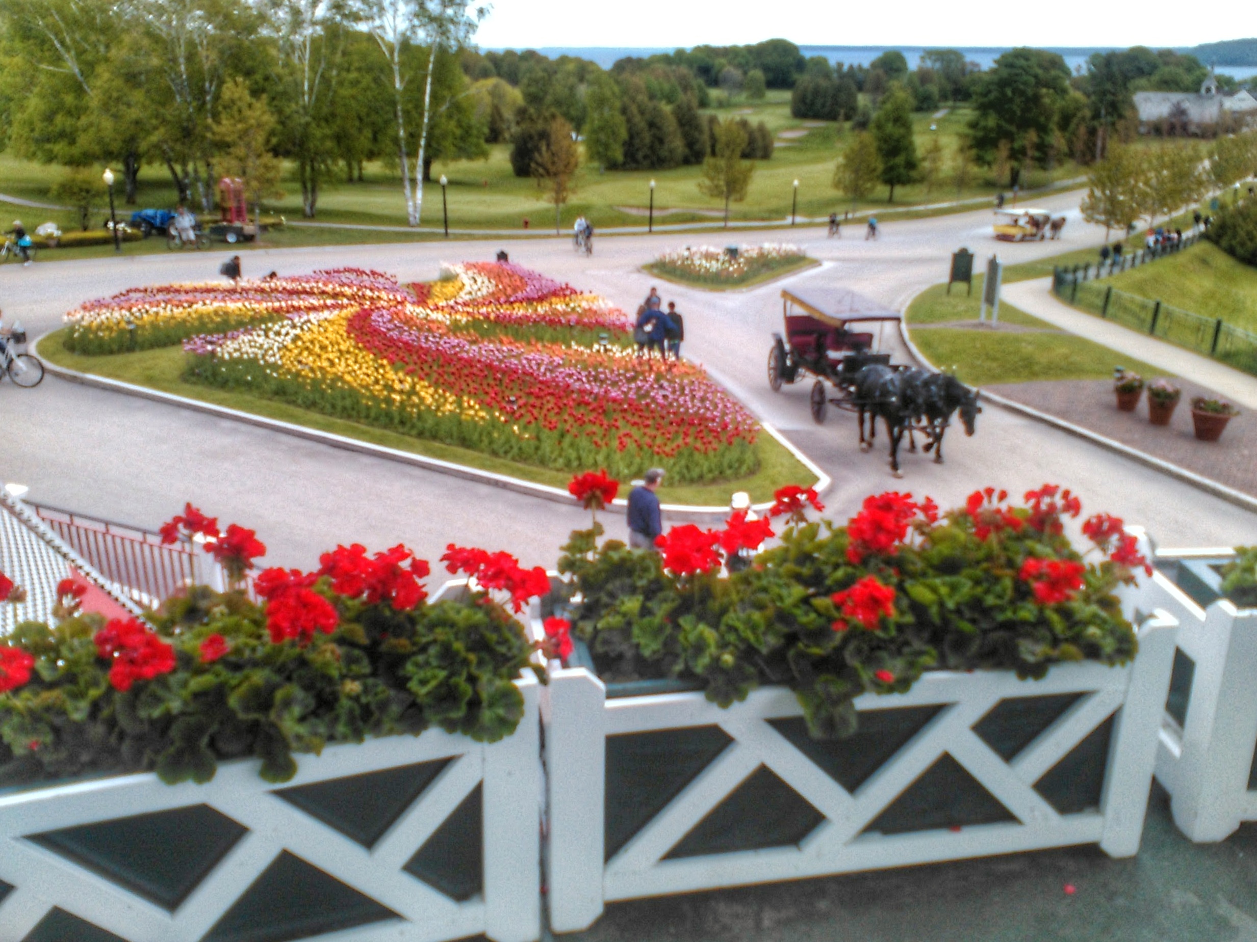 tulips horse carriage at grand hotel on mackinac island