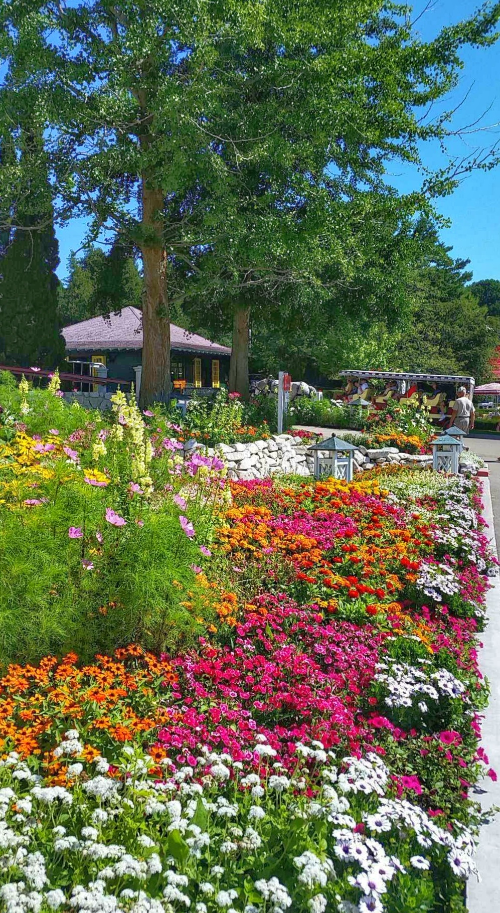 flower beds  grand hotel mackinac island