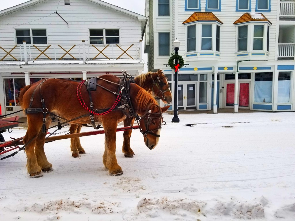 taxi Visit to Mackinac Island in the Winter