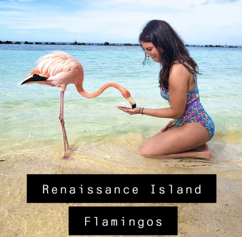Renaissance ISland flamingos in aruba