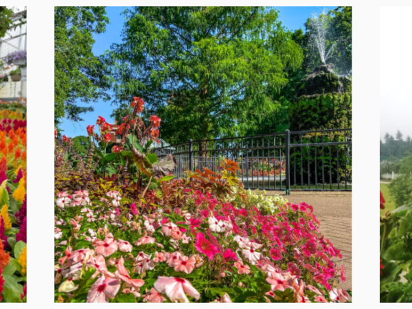 Michigan Favorite Places with Flowers #MIFavoritePlaces