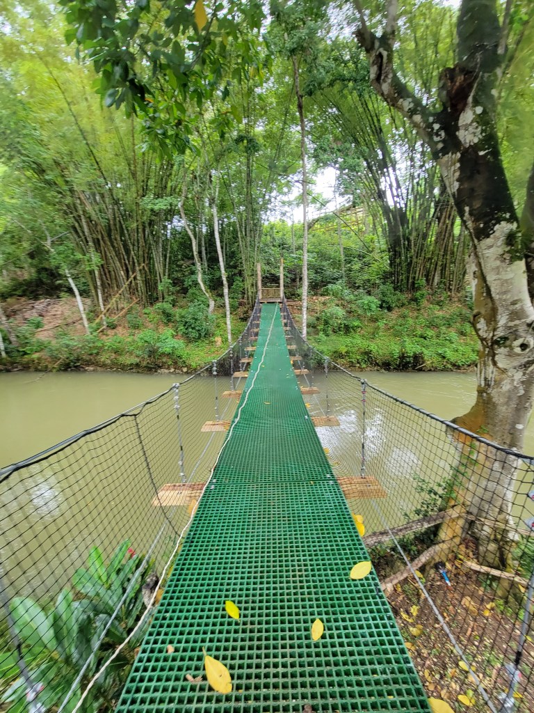 suspension bridge Chukka Eco-Adventure Outpost at Good Hope, Falmouth, Jamaica