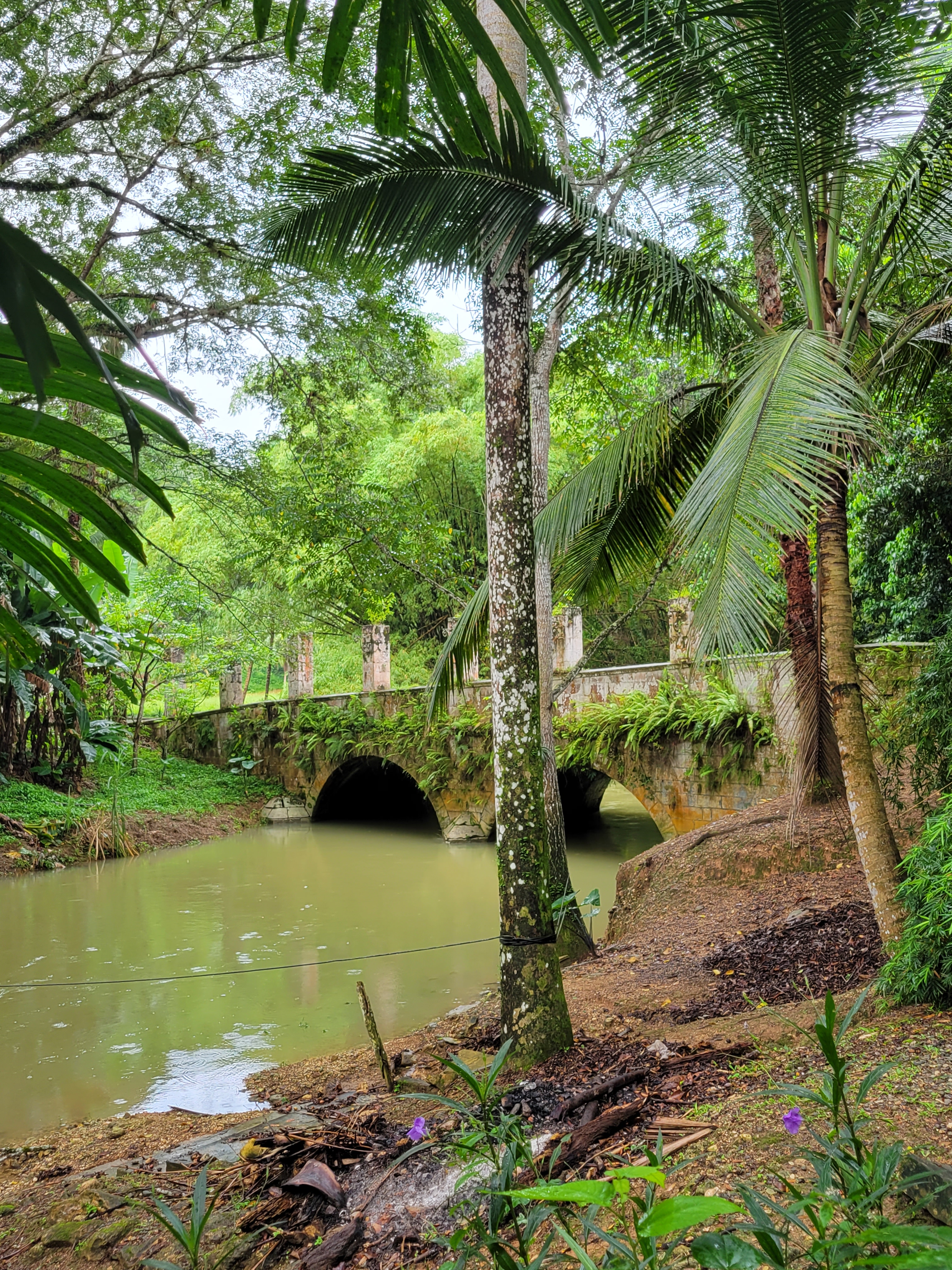 Eco-Adventure Jungle Zipline & River Tubing in Jamaica [2022