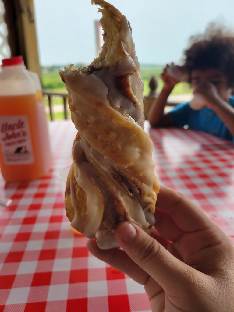 cinnamon twist at Uncle johns cider mill st. johns michigan