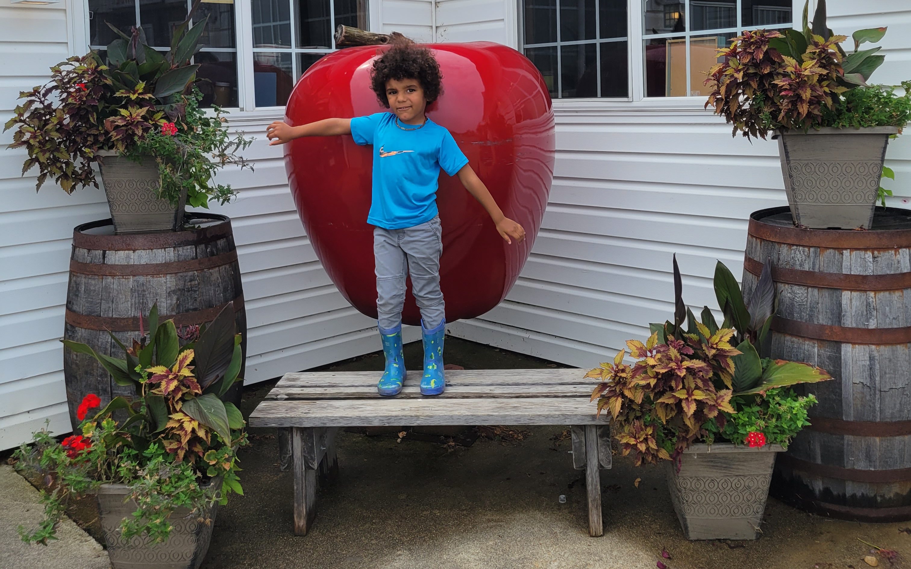 apples at Uncle johns cider mill st. johns michigan