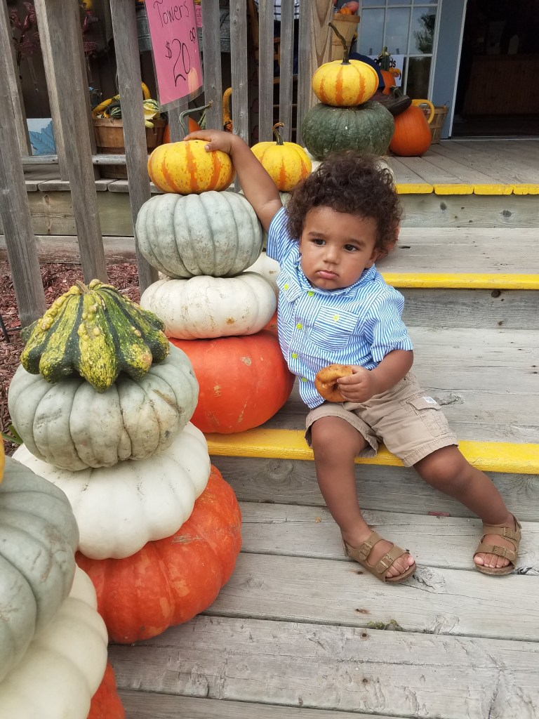 pumpkins at Anderson & girls orchard stanton michigan