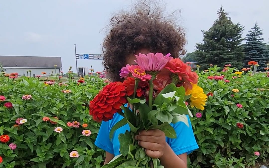 U Pick Flowers Uncle JOhns Cider Mill st. johns michigan