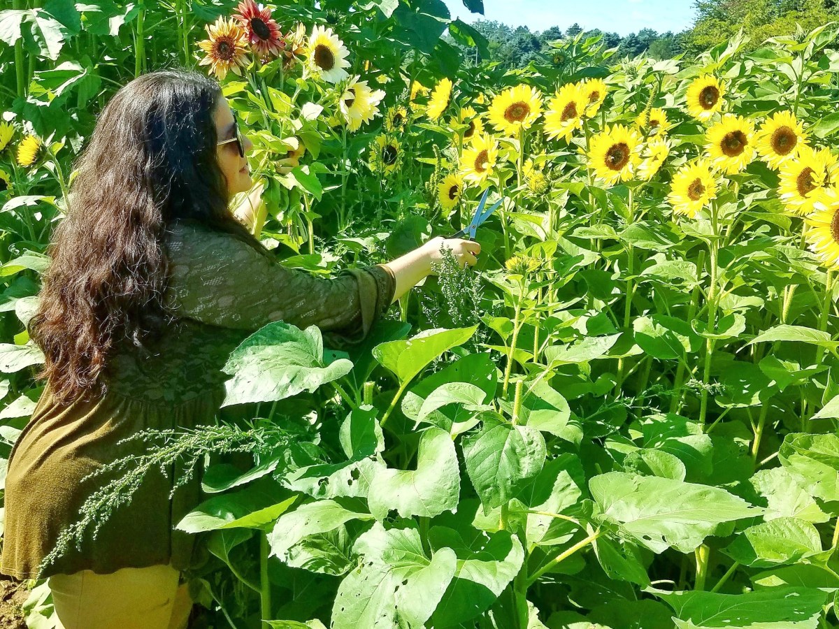 Mid Michigan Summertime Family&nbsp;Fun