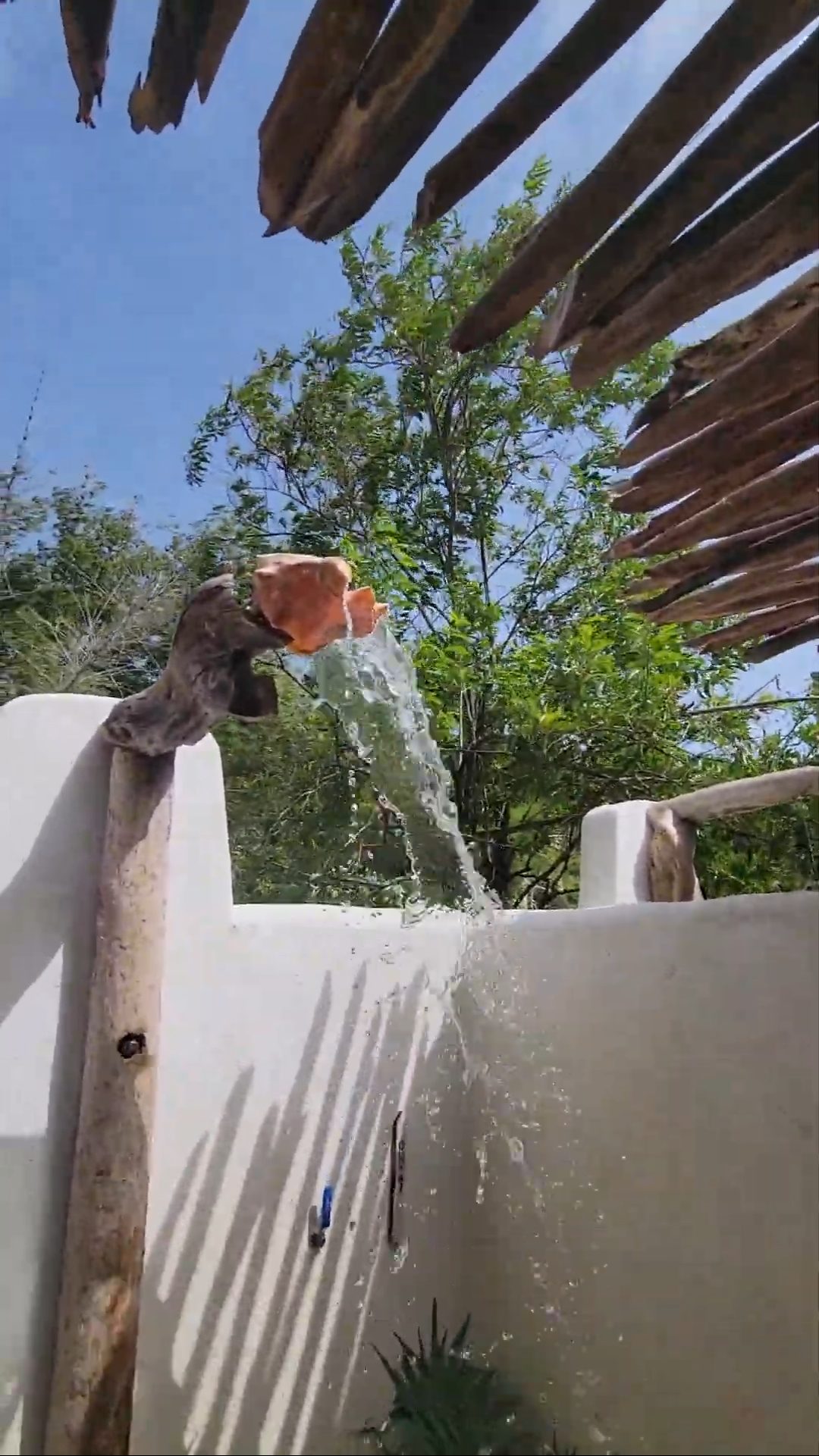 Chukka Ocean outpost at Sandy bay jamaica conch shell shower