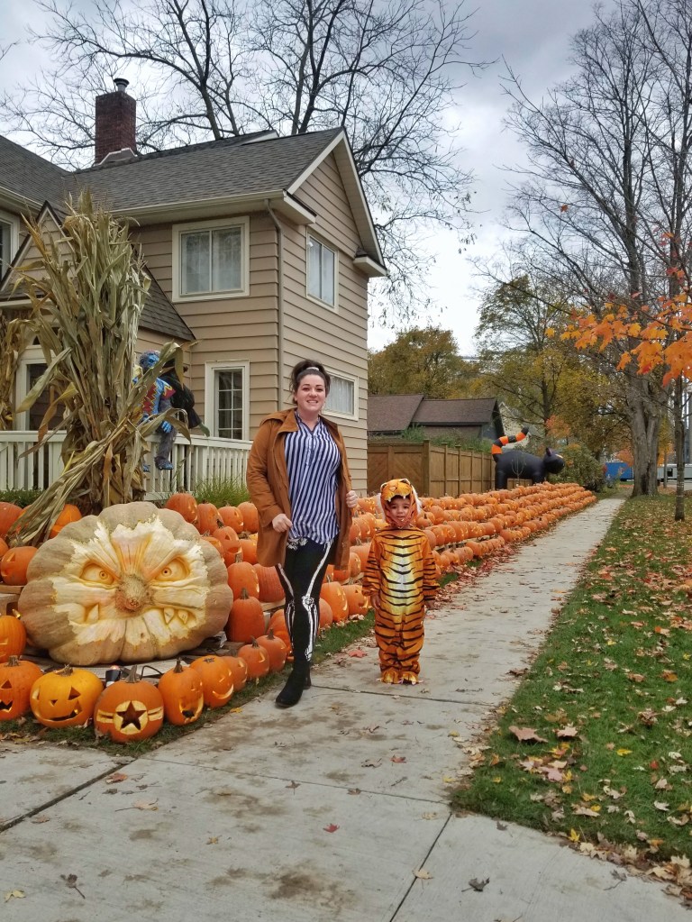 shepherd michigan pumpkin carving display