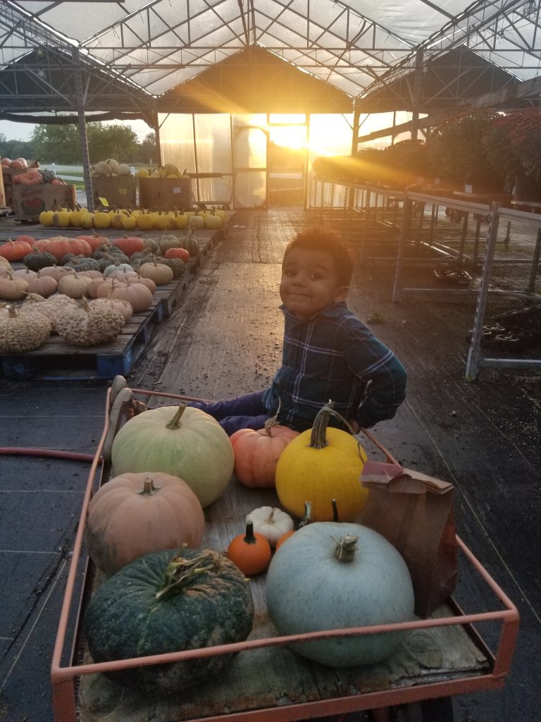 Andy T's farm market st. johns michigan pumpkin farm