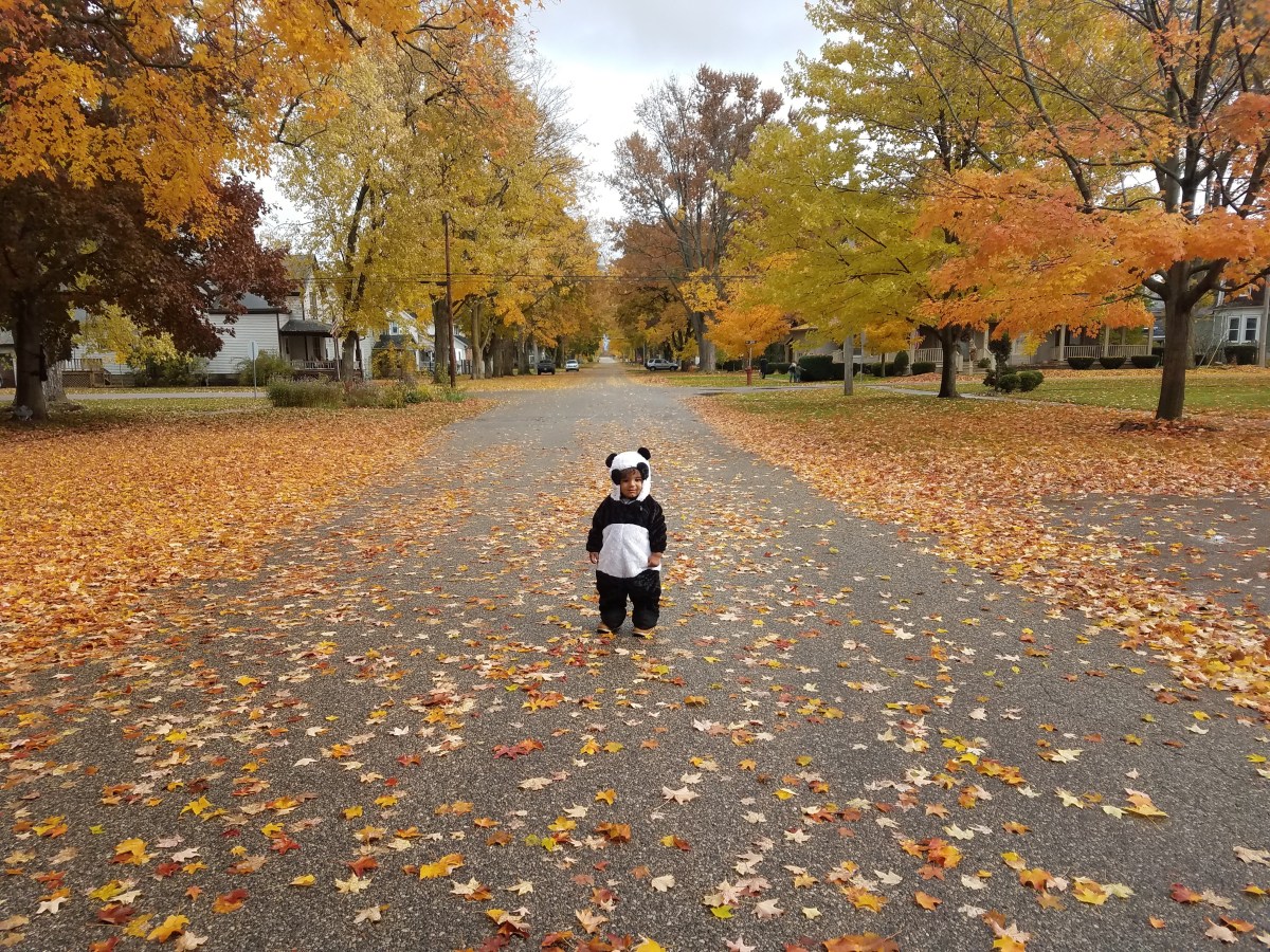 Best Mid Michigan Halloween Attractions&nbsp;[2022]