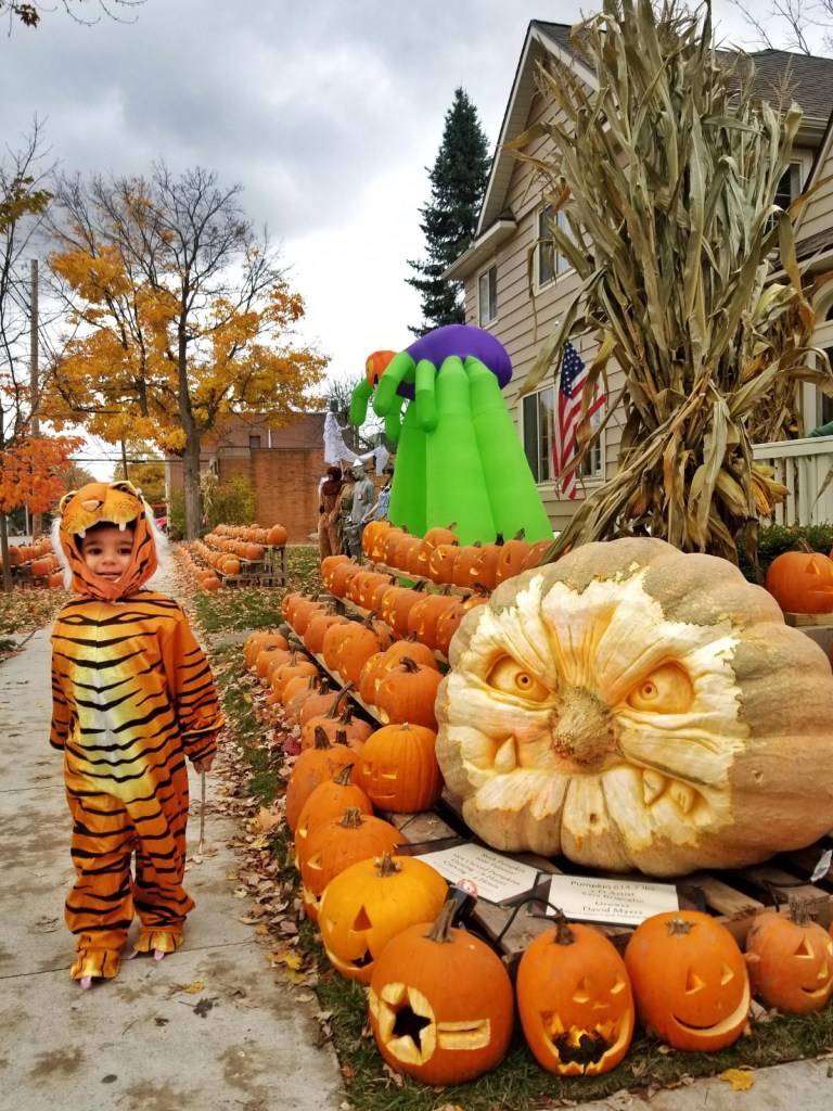 shepherd michigan pumpkin display