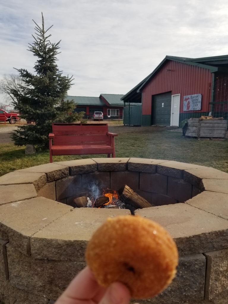 Rooftop Reindeer Farm Donuts & a cozy firepit clare michigan