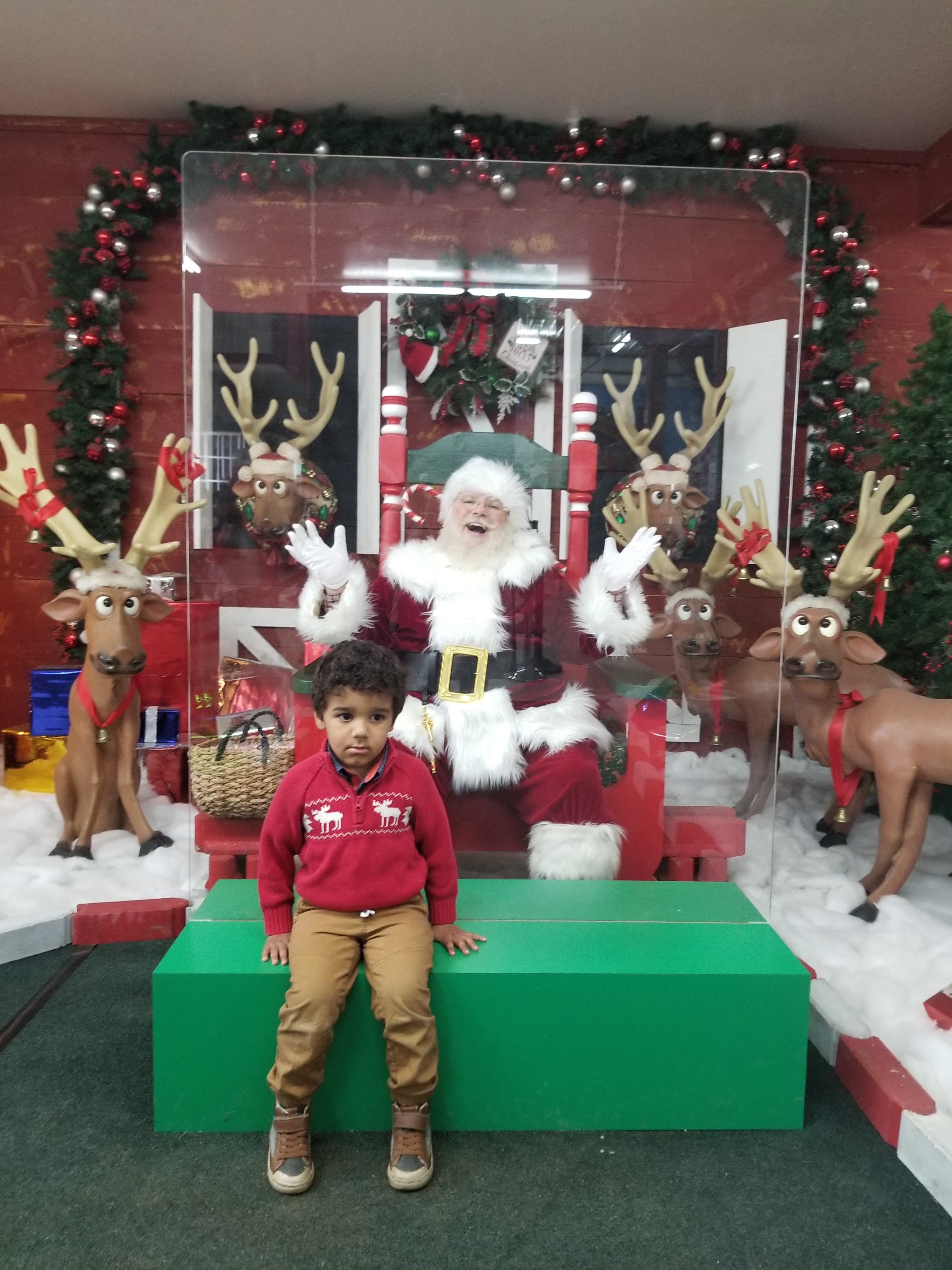 meet Santa at at rooftop landing reindeer farm in clare michigan