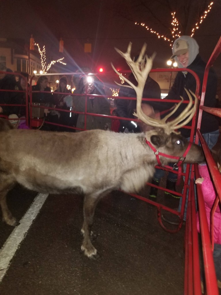Reindeer Christmas in Alma, Michigan 