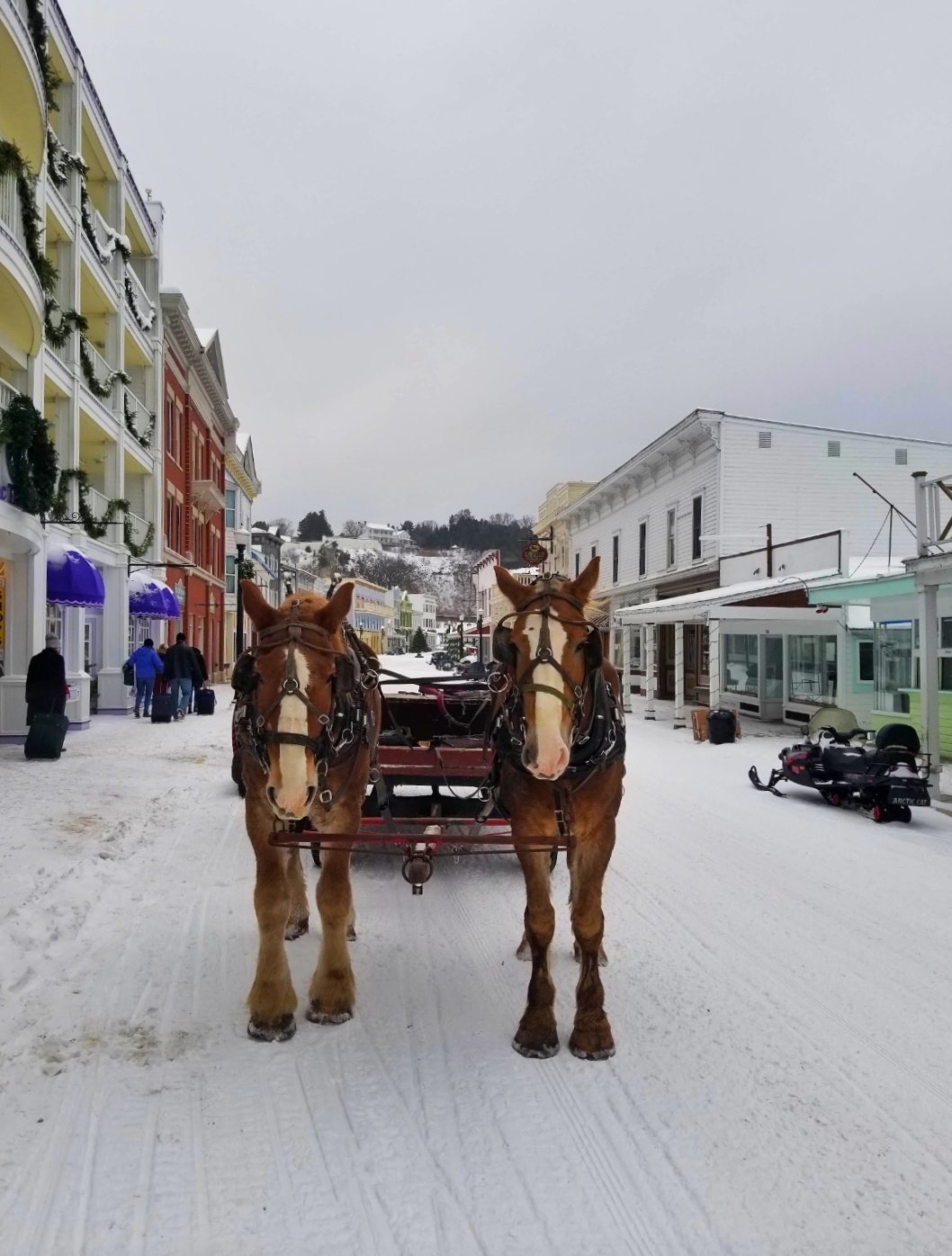 winter horse carriage mackinac island michigan