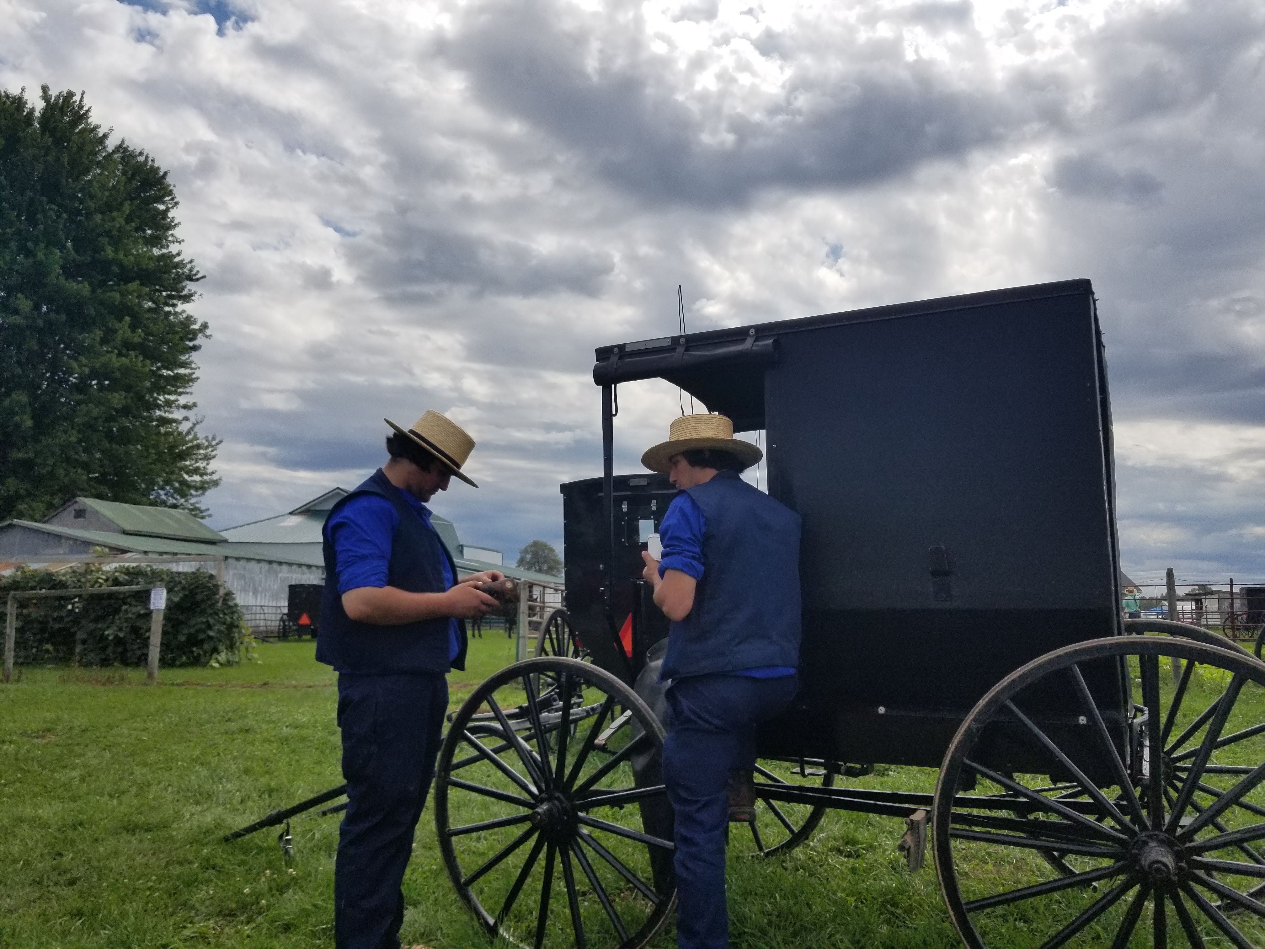 amish buggy at yoder flea market in clare michigan