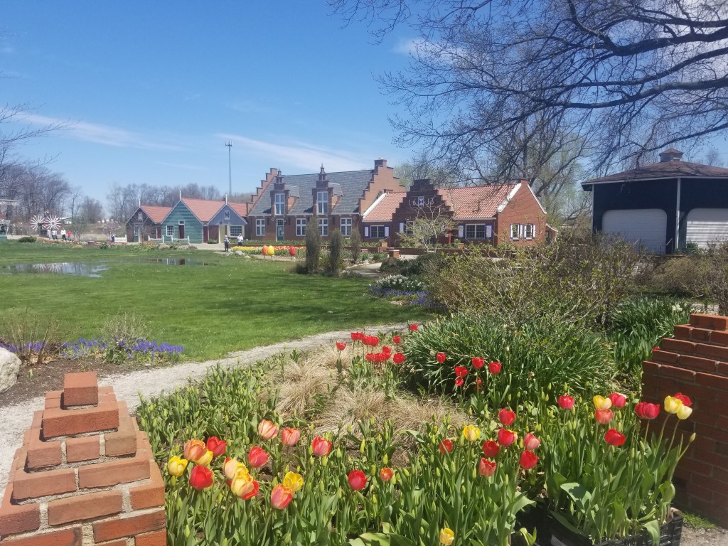 traditional dutch buildings in holland michigan tulips