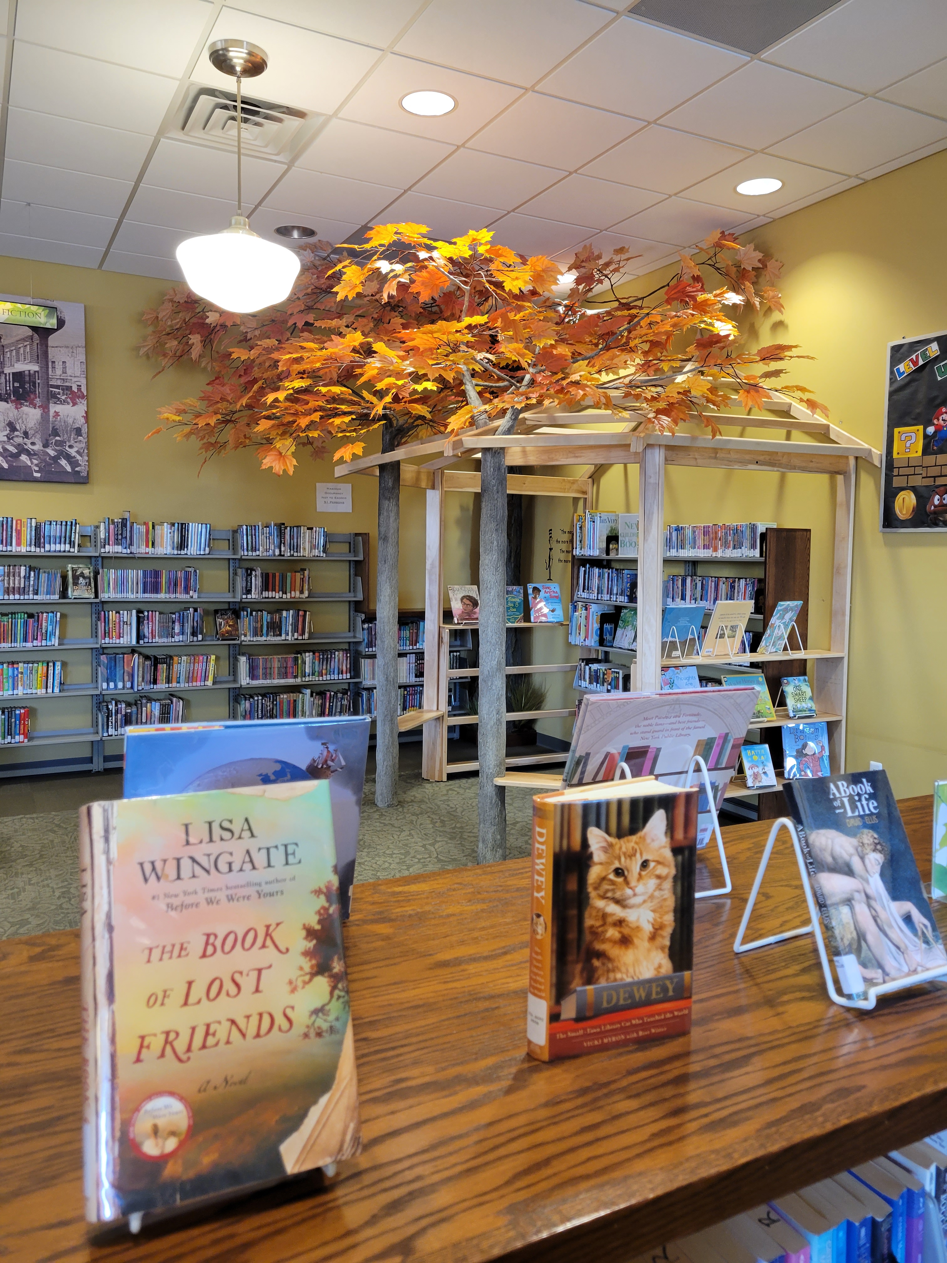 community library Shepherd Michigan