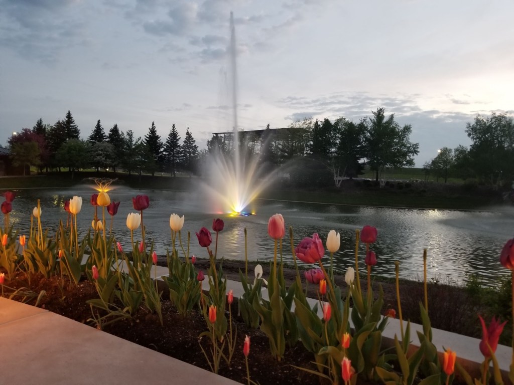 fountain tulips Soaring Eagle Casino Resort Mt. Pleasant Michigan