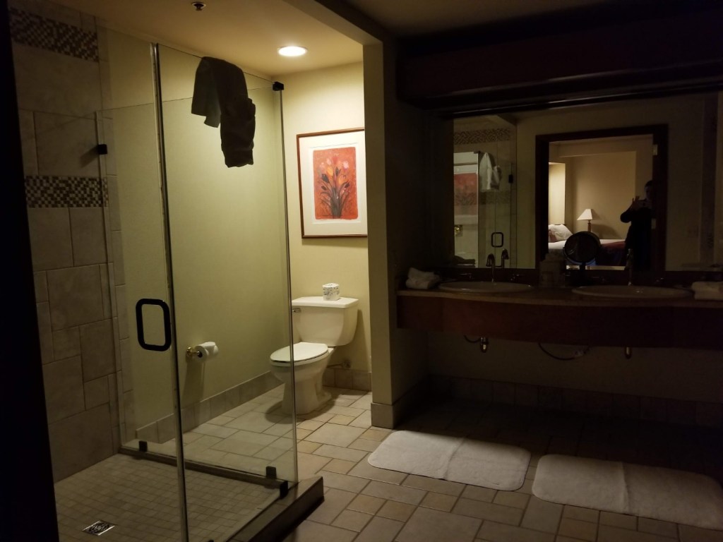 glass shower Soaring Eagle Casino Resort Mt. Pleasant Michigan