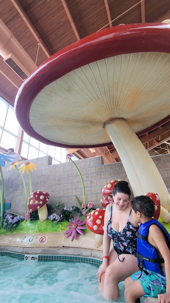 Zehnder's Splash Village Hotel and Waterpark frankenmuth